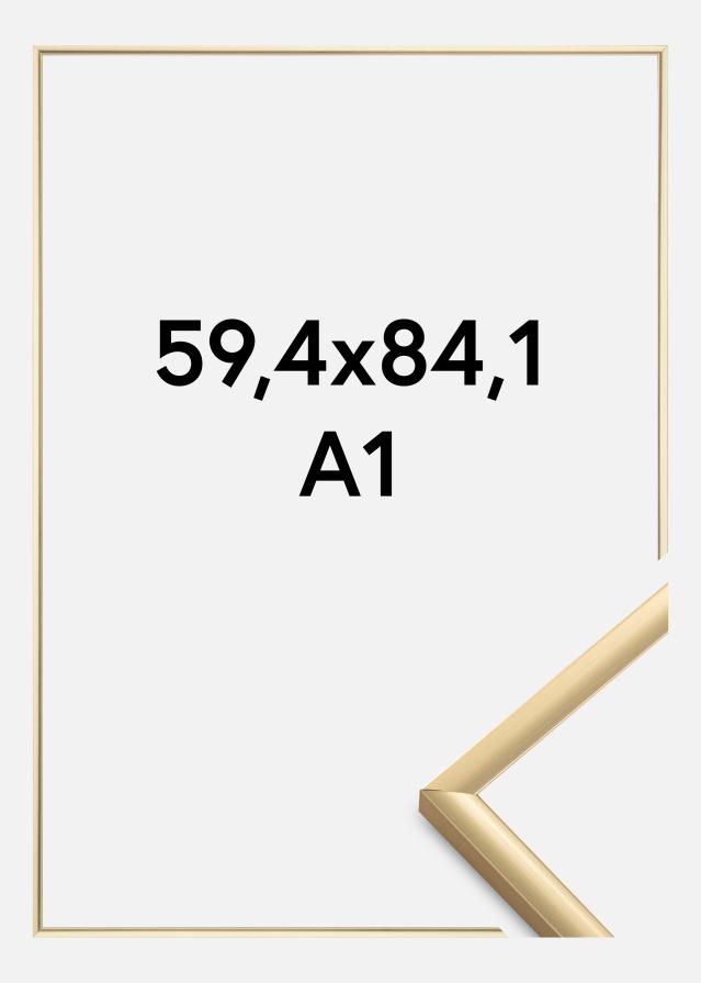 Kehys New Lifestyle Akryylilasi Kullanvärinen 59,4x84 cm (A1)