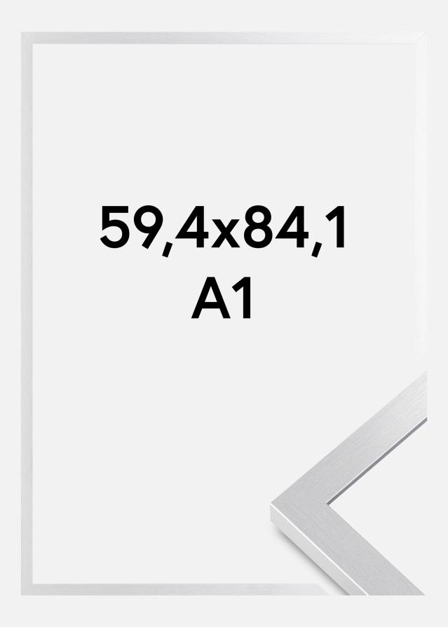 Kehys Selection Akryylilasi Hopeanvärinen 59,4x84,1 cm (A1)