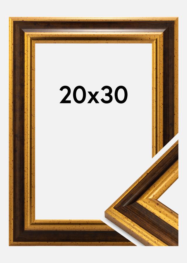 Kehys Aberystwyth Akryylilasi Kulta 20x30 cm