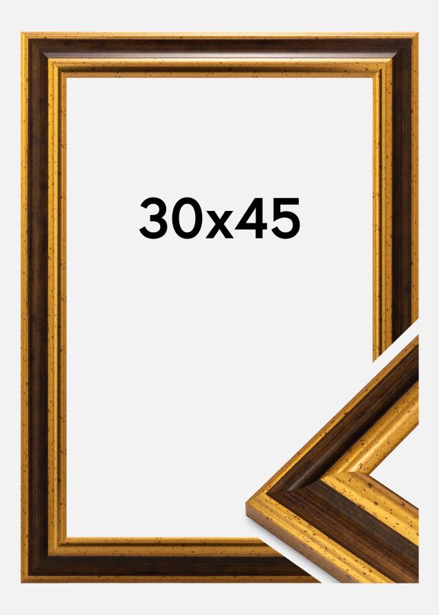 Kehys Aberystwyth Akryylilasi Kulta 30x45 cm