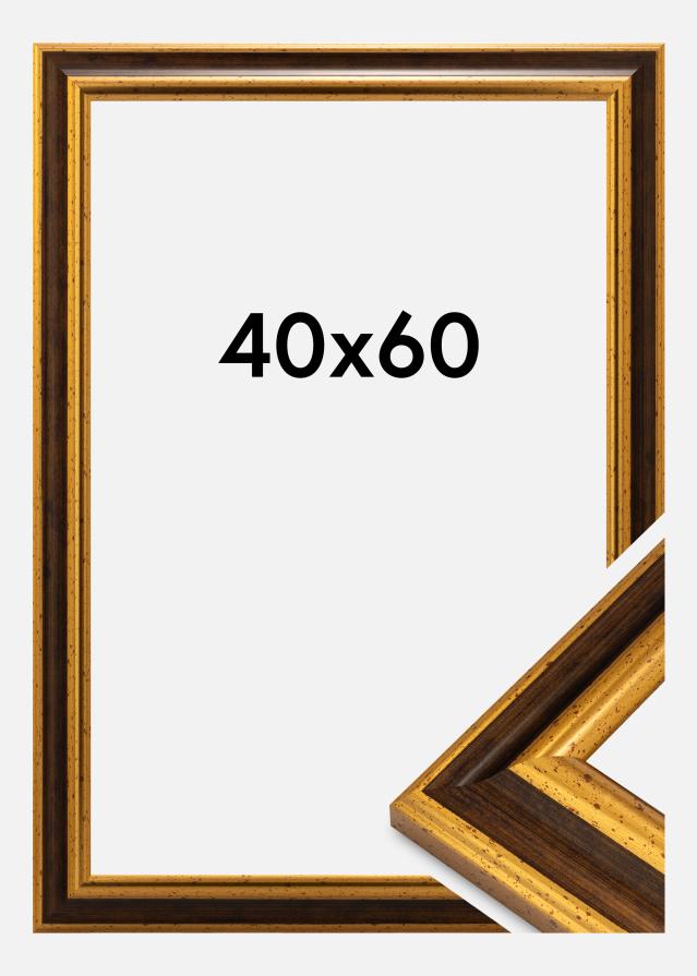 Kehys Aberystwyth Akryylilasi Kulta 40x60 cm