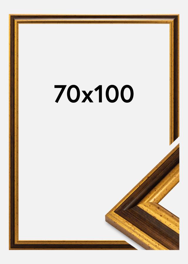 Kehys Aberystwyth Akryylilasi Kulta 70x100 cm