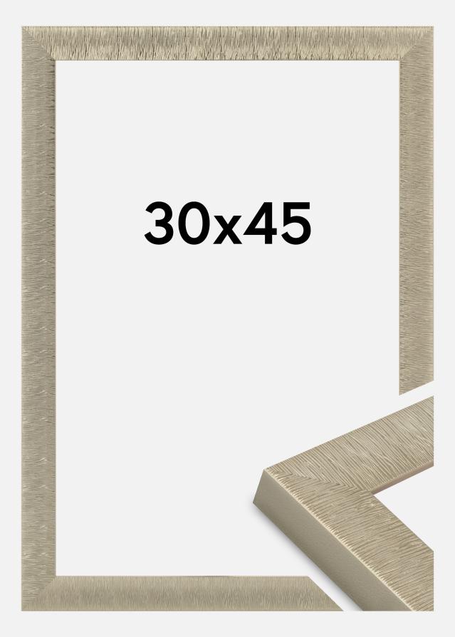 Kehys Sahara Akryylilasi Samppanja 30x45 cm