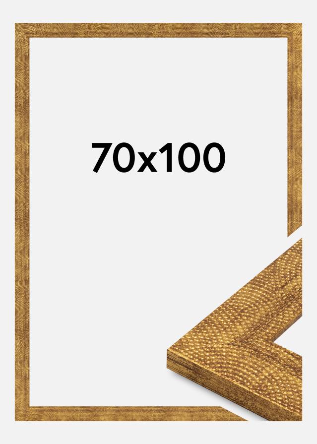 Kehys Linea Akryylilasi Kulta 70x100 cm