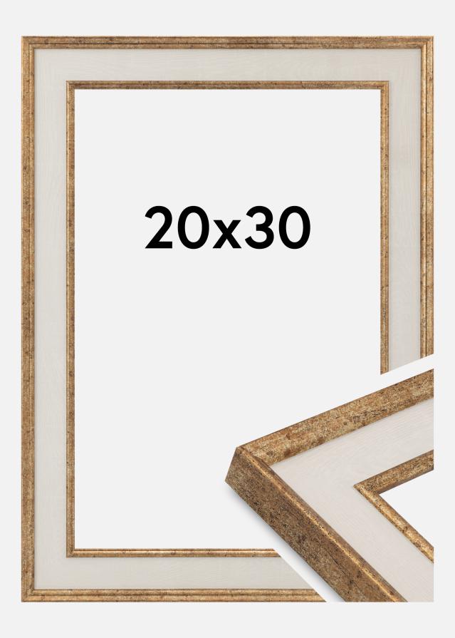 Kehys Dolly Akryylilasi Kulta 20x30 cm