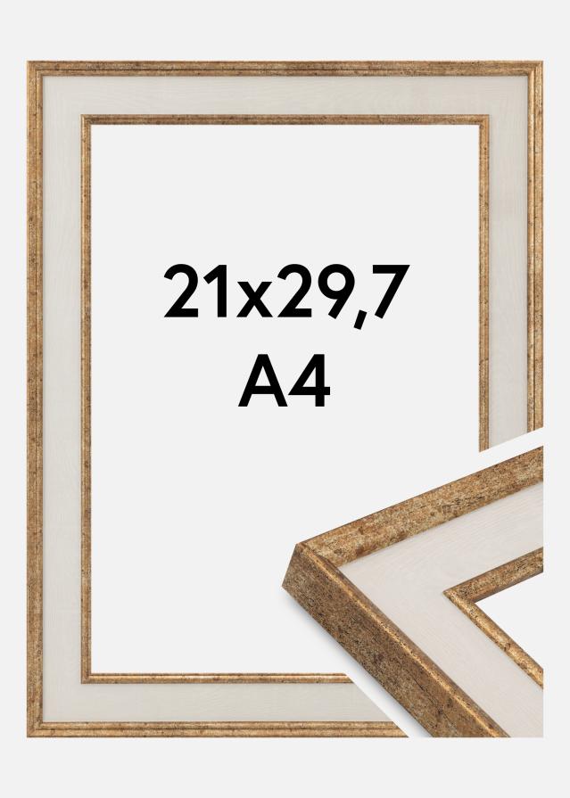 Kehys Dolly Akryylilasi Kulta 21x29.7 cm (A4)