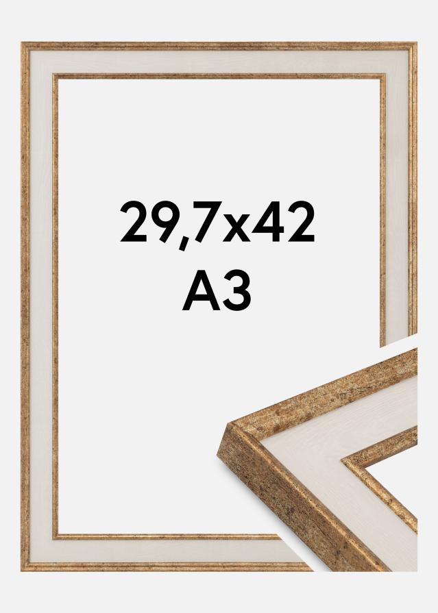 Kehys Dolly Akryylilasi Kulta 29,7x42 cm (A3)