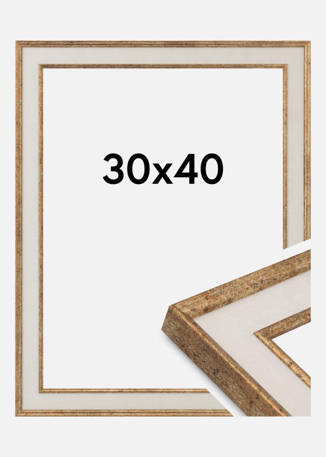 Kehys Dolly Akryylilasi Kulta 30x40 cm