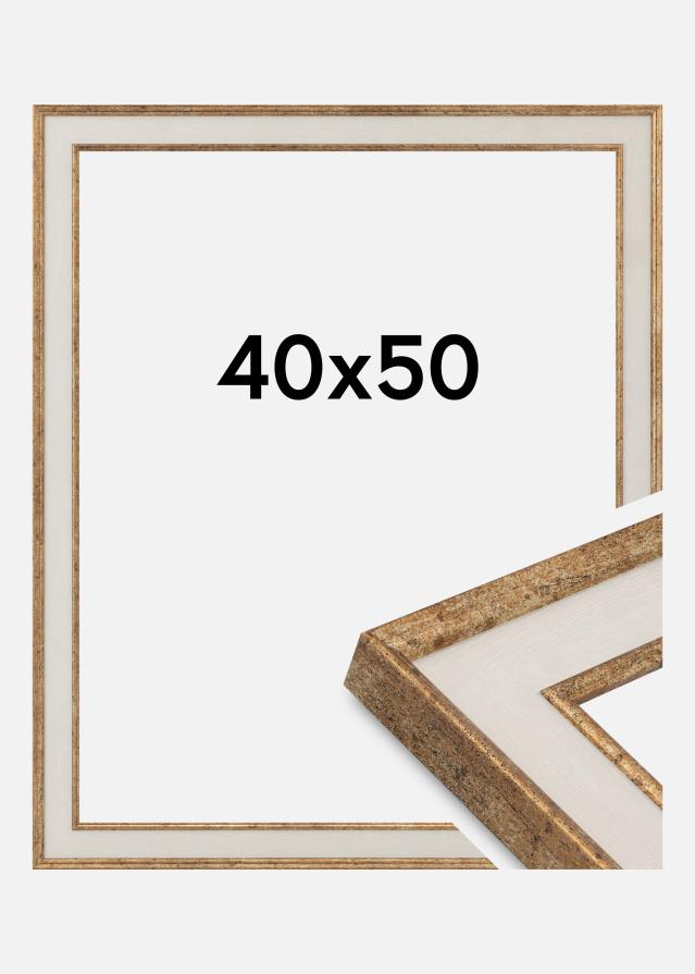 Kehys Dolly Akryylilasi Kulta 40x50 cm