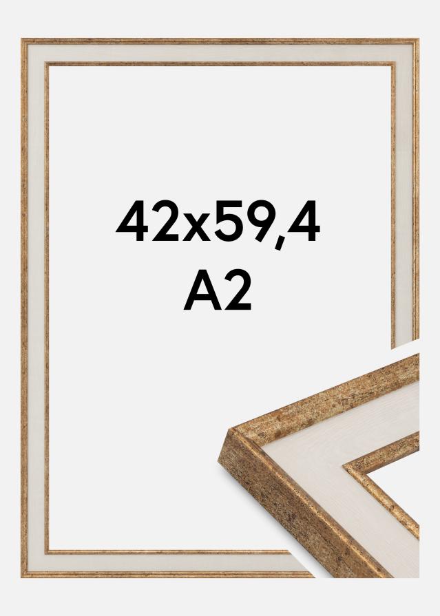 Kehys Dolly Akryylilasi Kulta 42x59,4 cm (A2)