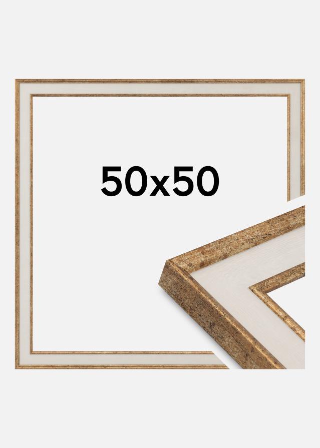 Kehys Dolly Akryylilasi Kulta 50x50 cm