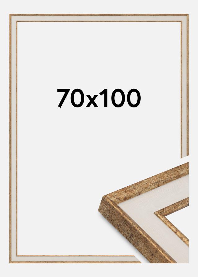 Kehys Dolly Akryylilasi Kulta 70x100 cm