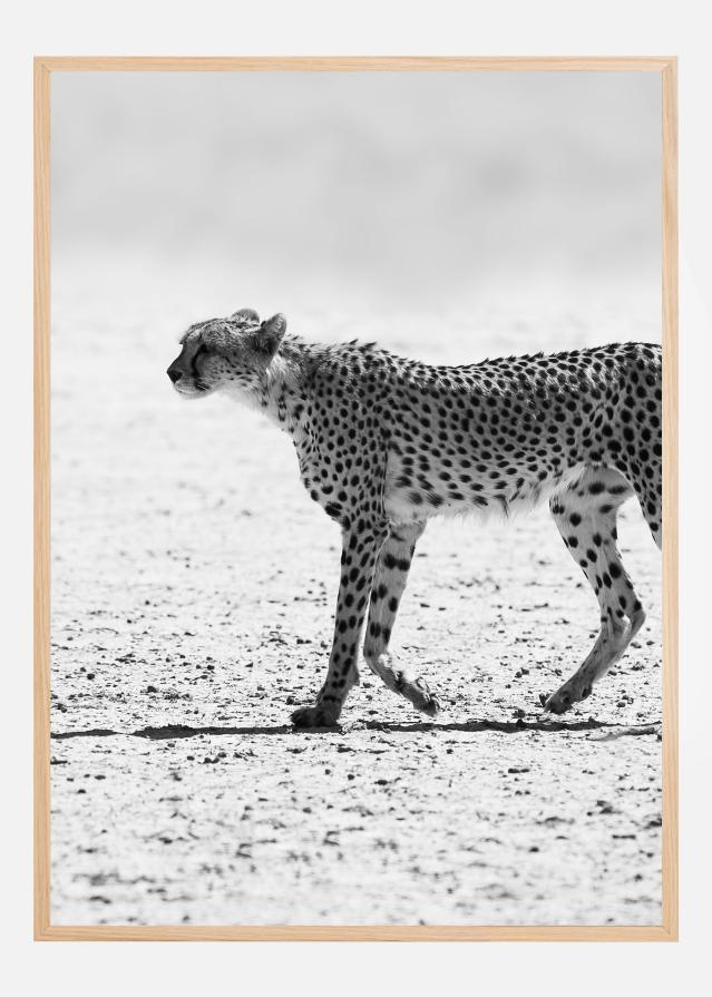 Silent Pursuit Juliste