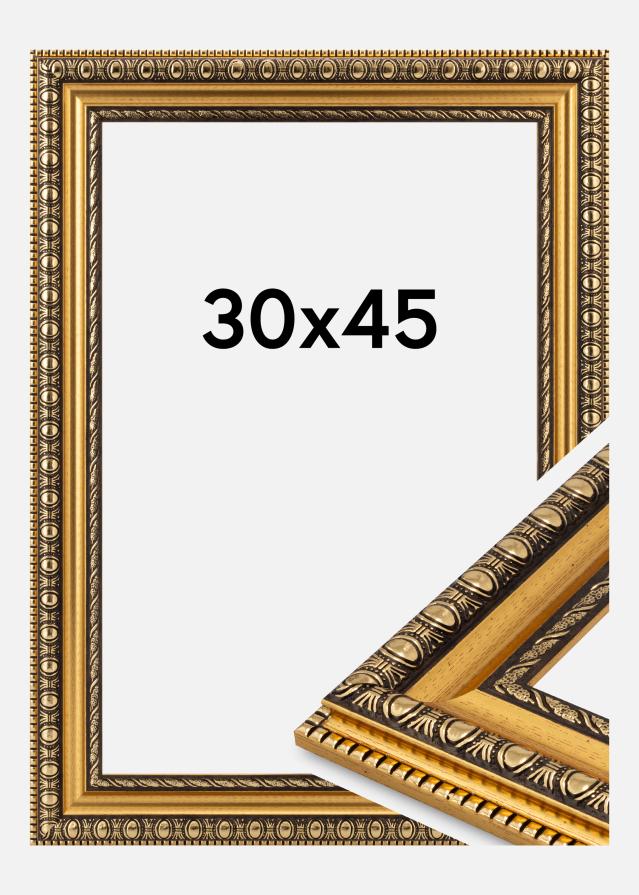 Kehys Ornato Akryylilasi Kulta 30x45 cm