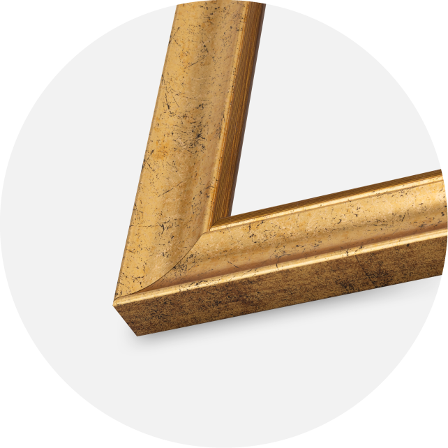 Kehys Conca Akryylilasi Kulta 59.4x84 cm (A1)