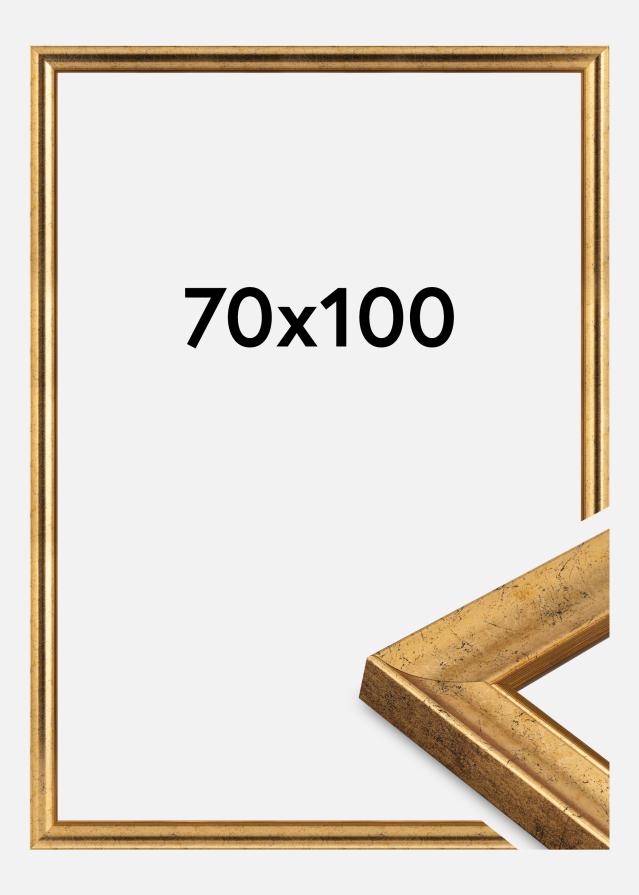 Kehys Conca Akryylilasi Kulta 70x100 cm