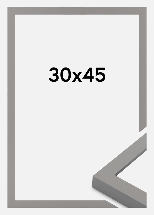 Kehys Selection Akryylilasi Grey 30x45 cm