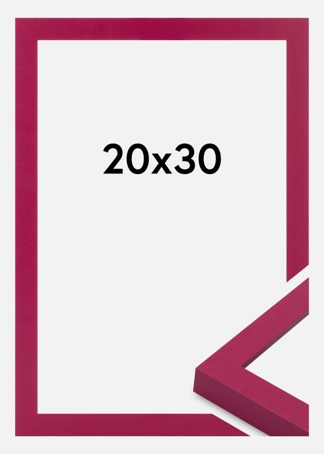 Kehys Selection Akryylilasi Hot Pink 20x30 cm