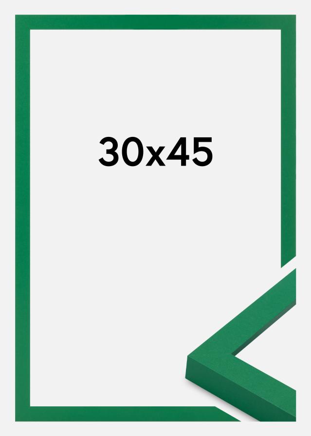 Kehys Selection Akryylilasi Light Green 30x45 cm