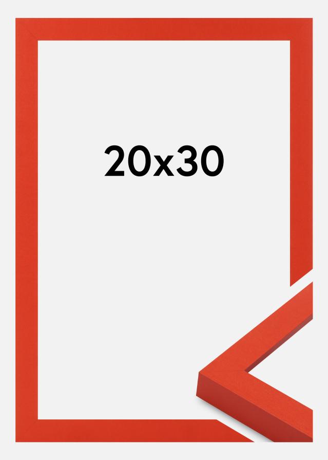 Kehys Selection Akryylilasi Red 20x30 cm