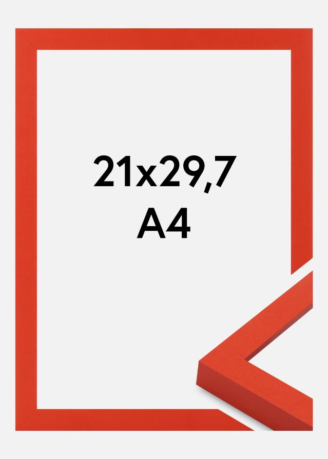 Kehys Selection Akryylilasi Red 21x29.7 cm (A4)