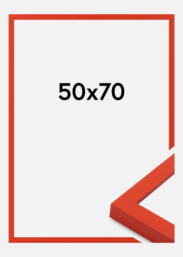 Kehys Selection Akryylilasi Red 50x70 cm