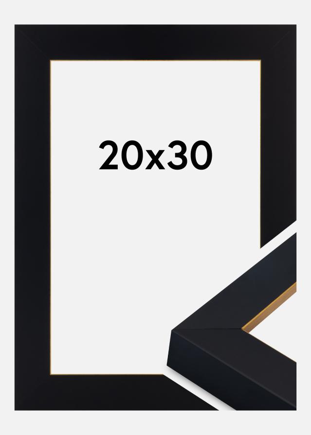Kehys Sussex Akryylilasi Musta/Kulta 20x30 cm