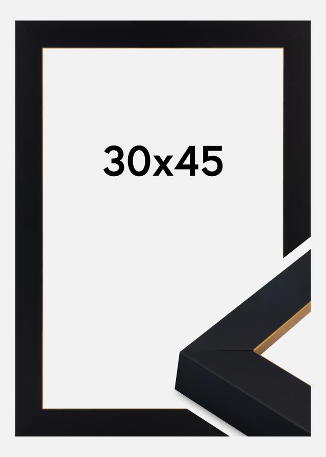 Kehys Sussex Akryylilasi Musta/Kulta 30x45 cm