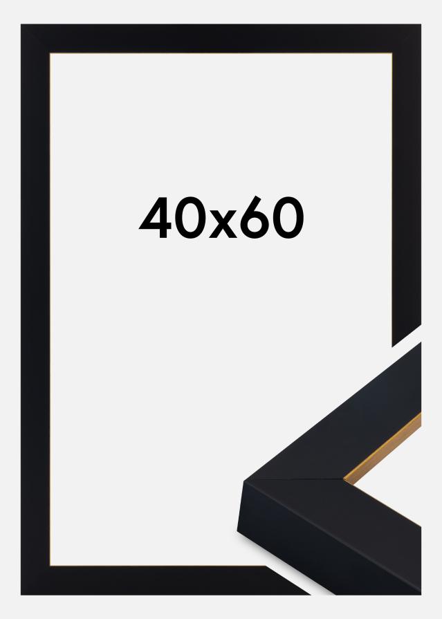 Kehys Sussex Akryylilasi Musta/Kulta 40x60 cm