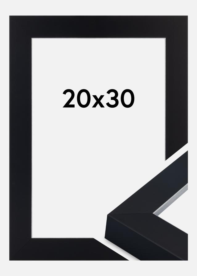 Kehys Sussex Akryylilasi Musta/Hopea 20x30 cm