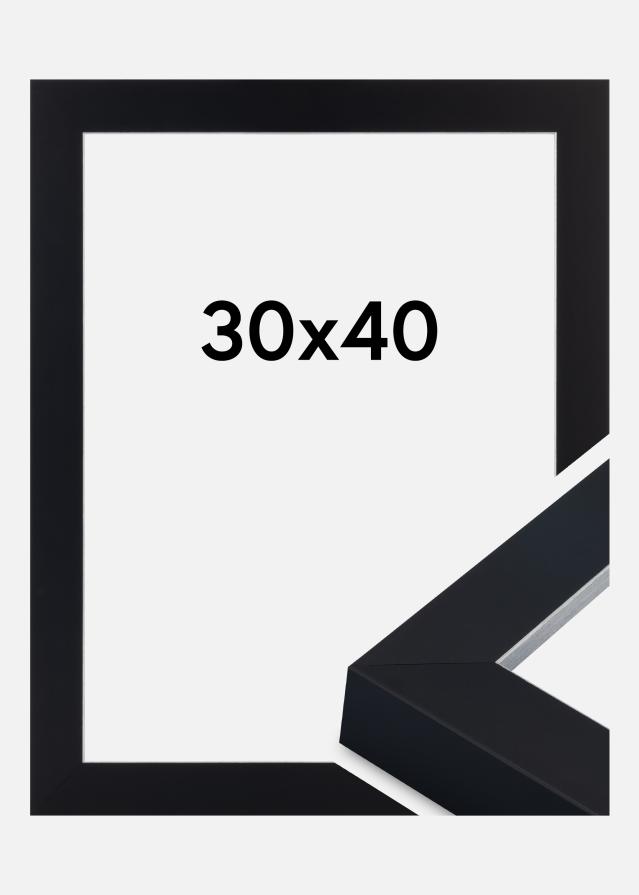Kehys Sussex Akryylilasi Musta/Hopea 30x40 cm