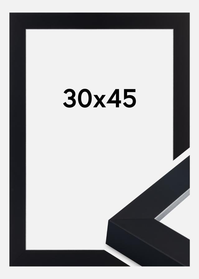 Kehys Sussex Akryylilasi Musta/Hopea 30x45 cm