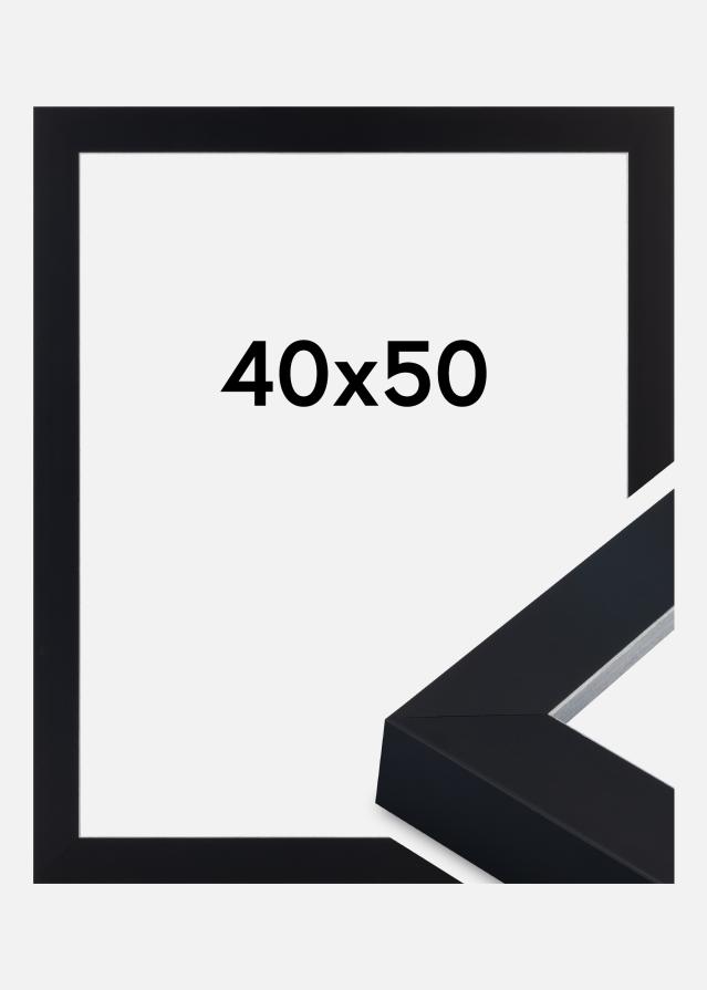 Kehys Sussex Akryylilasi Musta/Hopea 40x50 cm