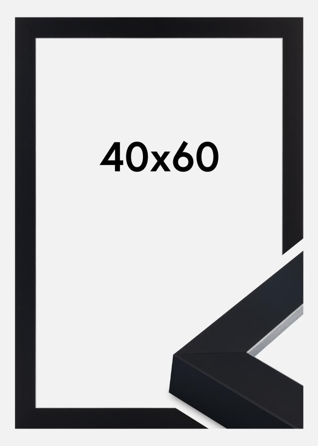 Kehys Sussex Akryylilasi Musta/Hopea 40x60 cm