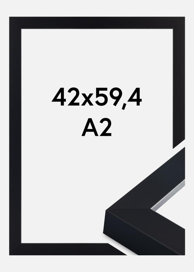 Kehys Sussex Akryylilasi Musta/Hopea 42x59,4 cm (A2)