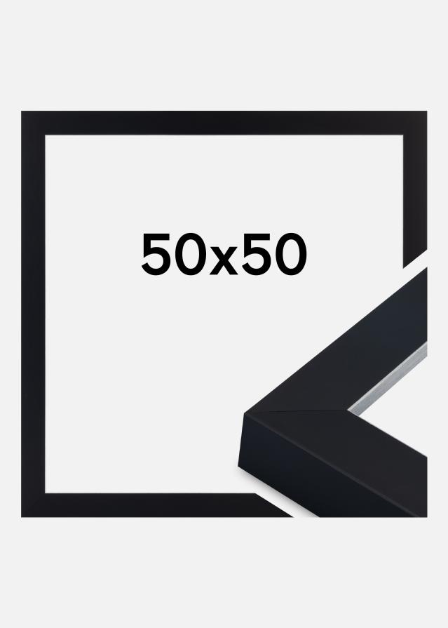 Kehys Sussex Akryylilasi Musta/Hopea 50x50 cm