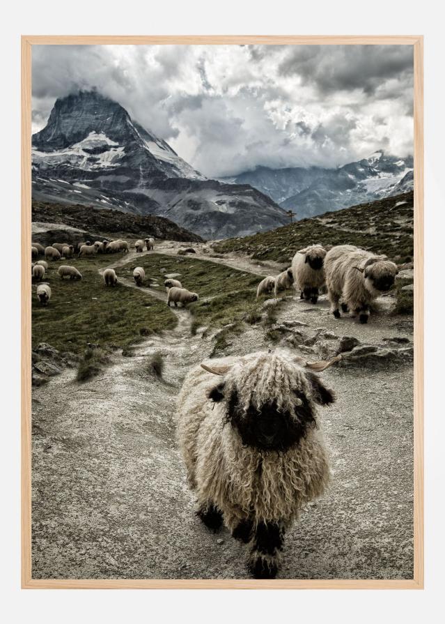 Out of my way Juliste