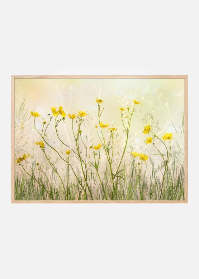 Good morning! Juliste