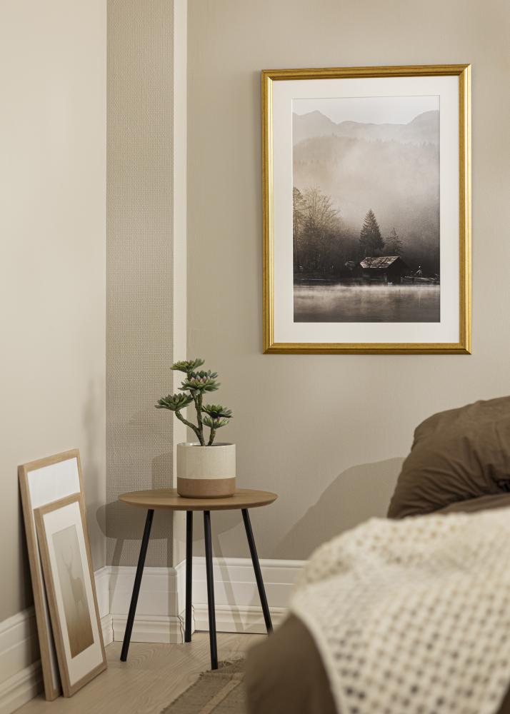 Kehys Västkusten Akryylilasi Kulta 4x6 inches (10,16x15,24 cm)