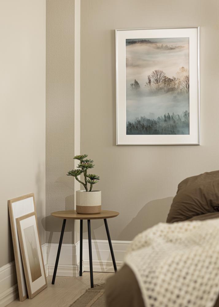 Kehys New Lifestyle Hopea 10x18 cm - Passepartout Valkoista 8x10 cm