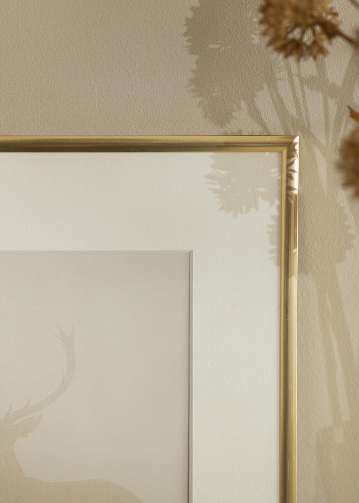 Kehys New Lifestyle Kulta 60x90 cm - Passepartout Valkoista 50x75 cm