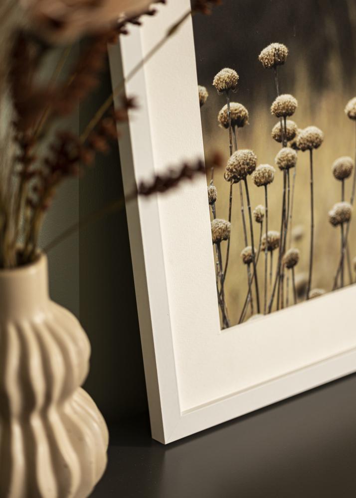 Kehys Selection Akryylilasi Valkoinen 15x21 cm (A5)