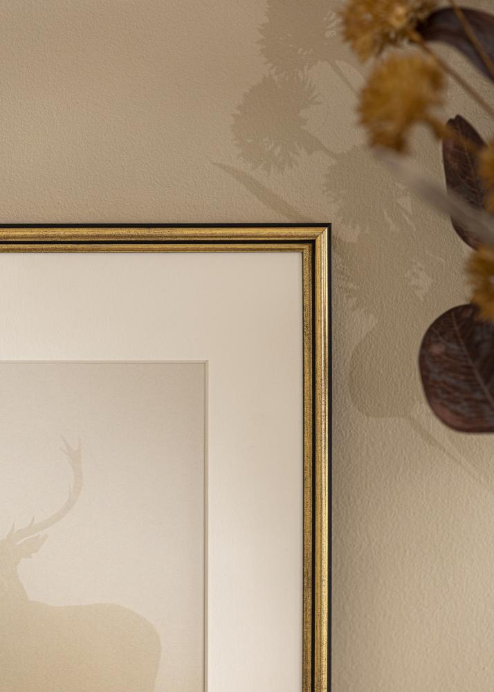 Kehys Horndal Akryylilasi Kullanvärinen 7x10 cm