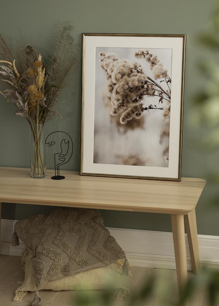 Kehys Horndal Akryylilasi Kullanvärinen 7x10 cm