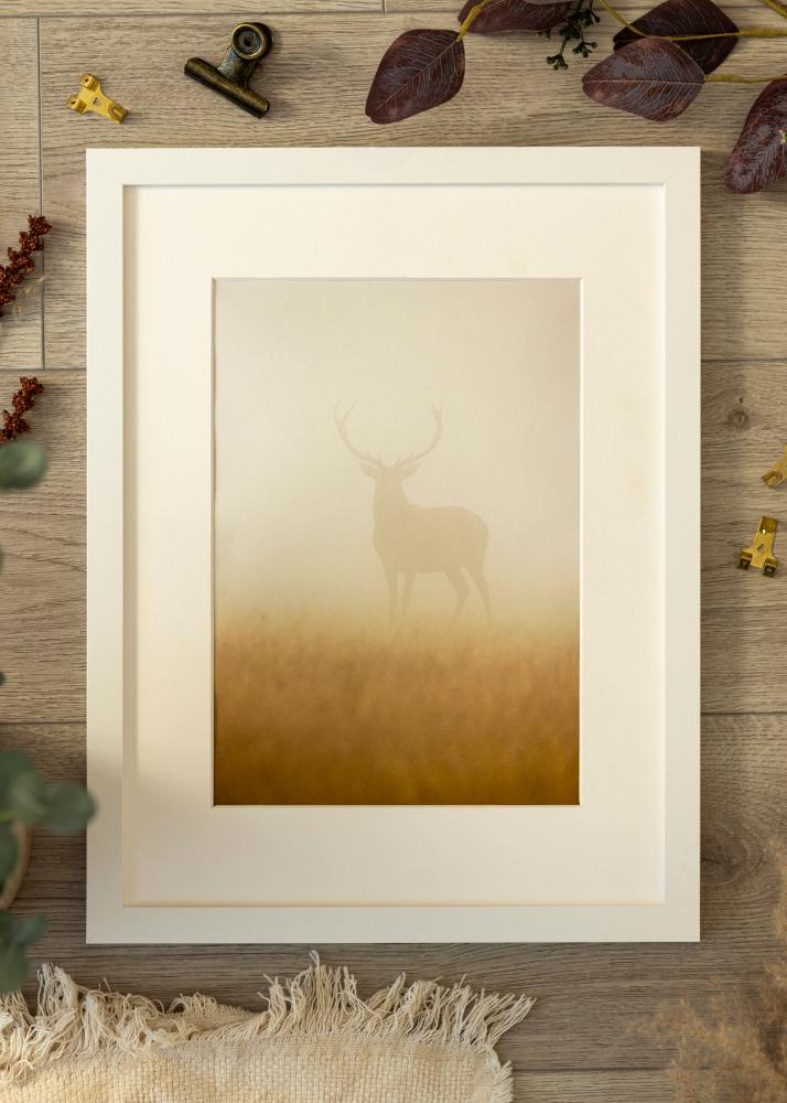 Kehys BGA Classic Valkoista 50x100 cm - Passepartout Valkoista 40x90 cm