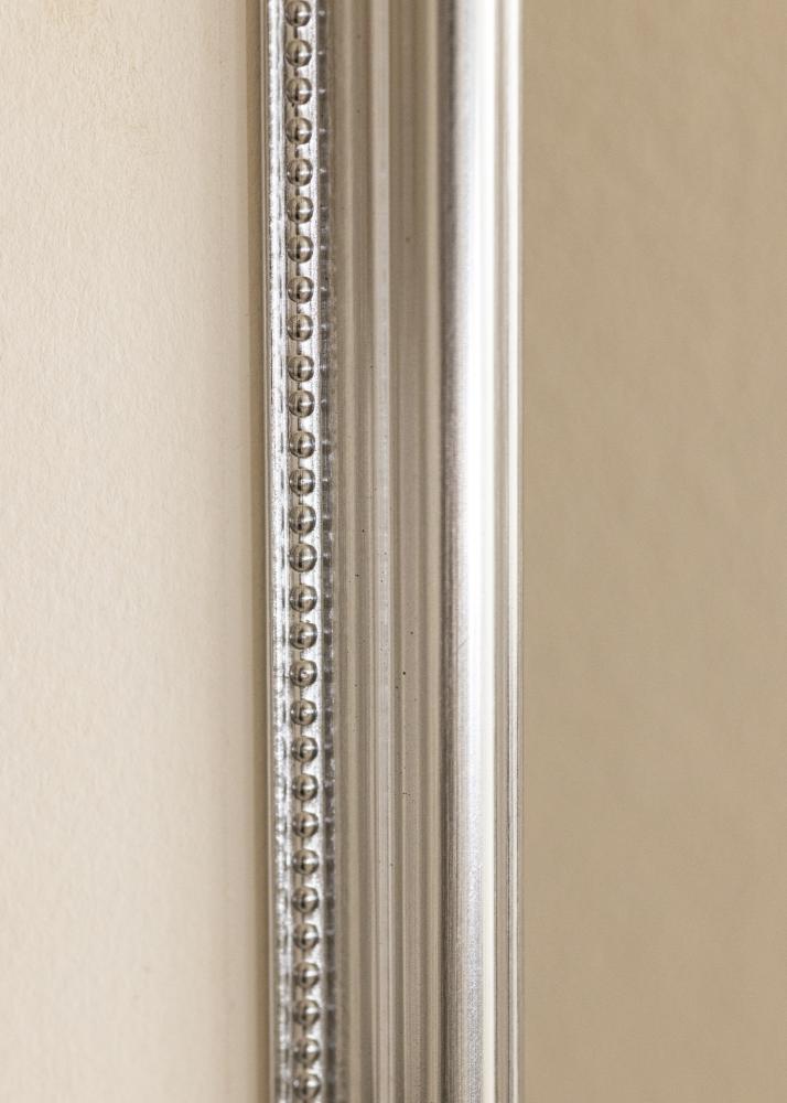 Kehys Gala Hopea 50x70 cm - Passepartout Valkoista 39x60 cm