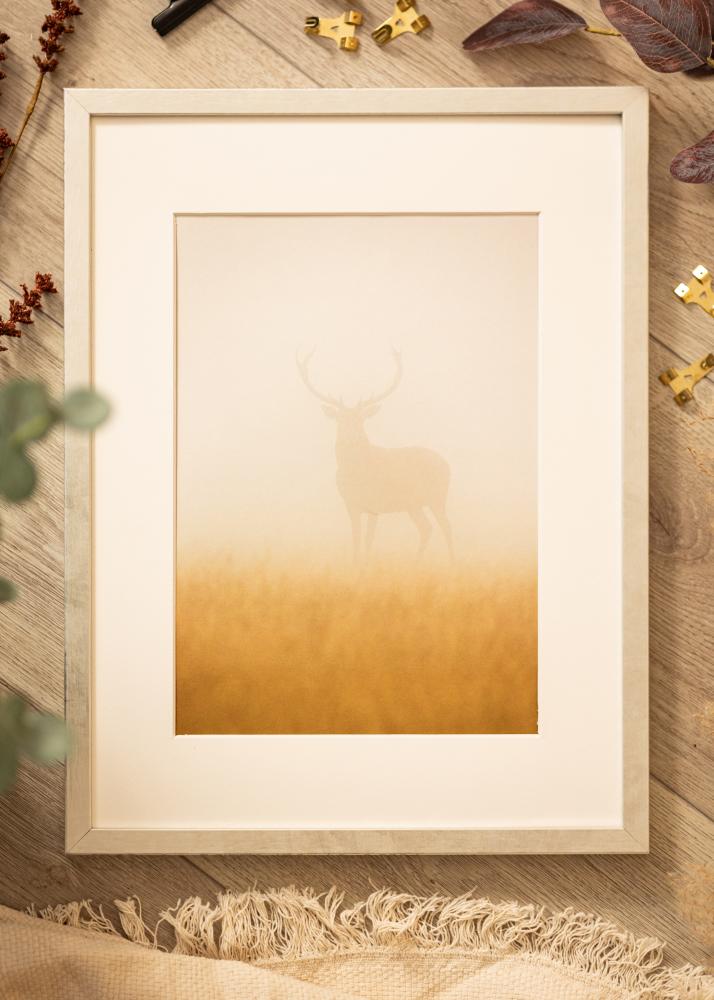 Kehys Ares Hopea 24x30 cm - Passepartout Valkoista 7x9 inches