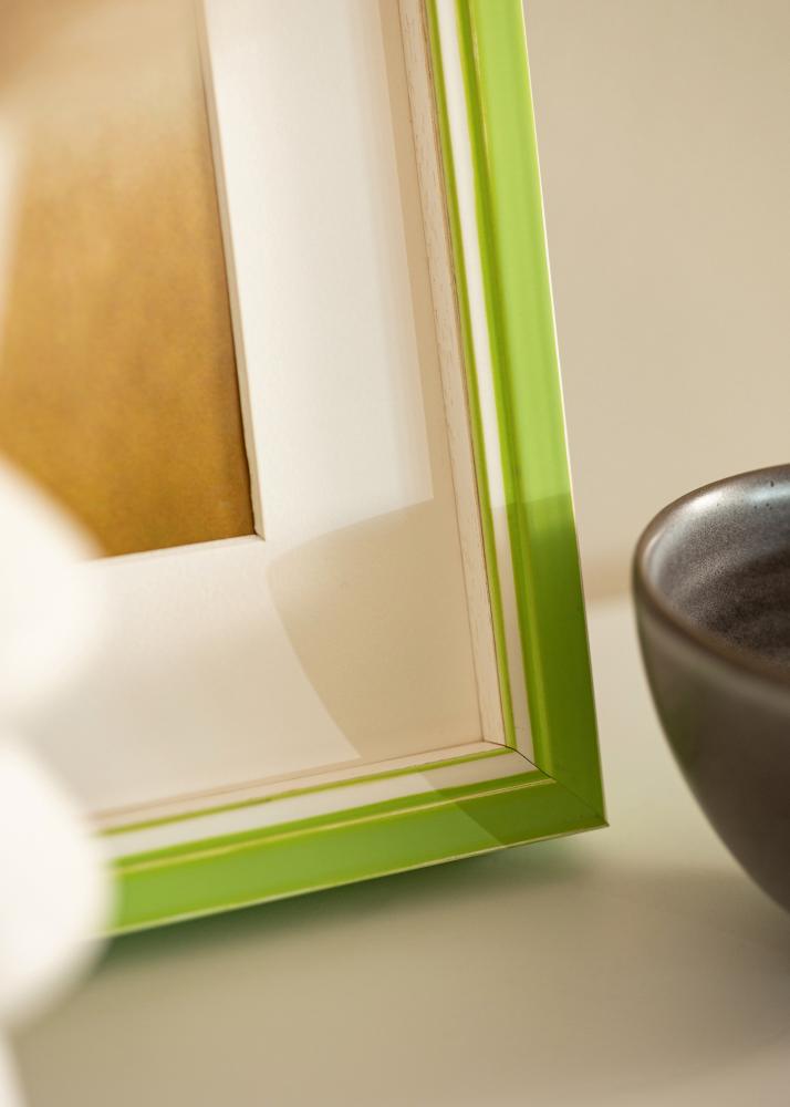 Kehys Diana Vaaleanvihreä 60x80 cm - Passepartout Valkoista 20x27 inches