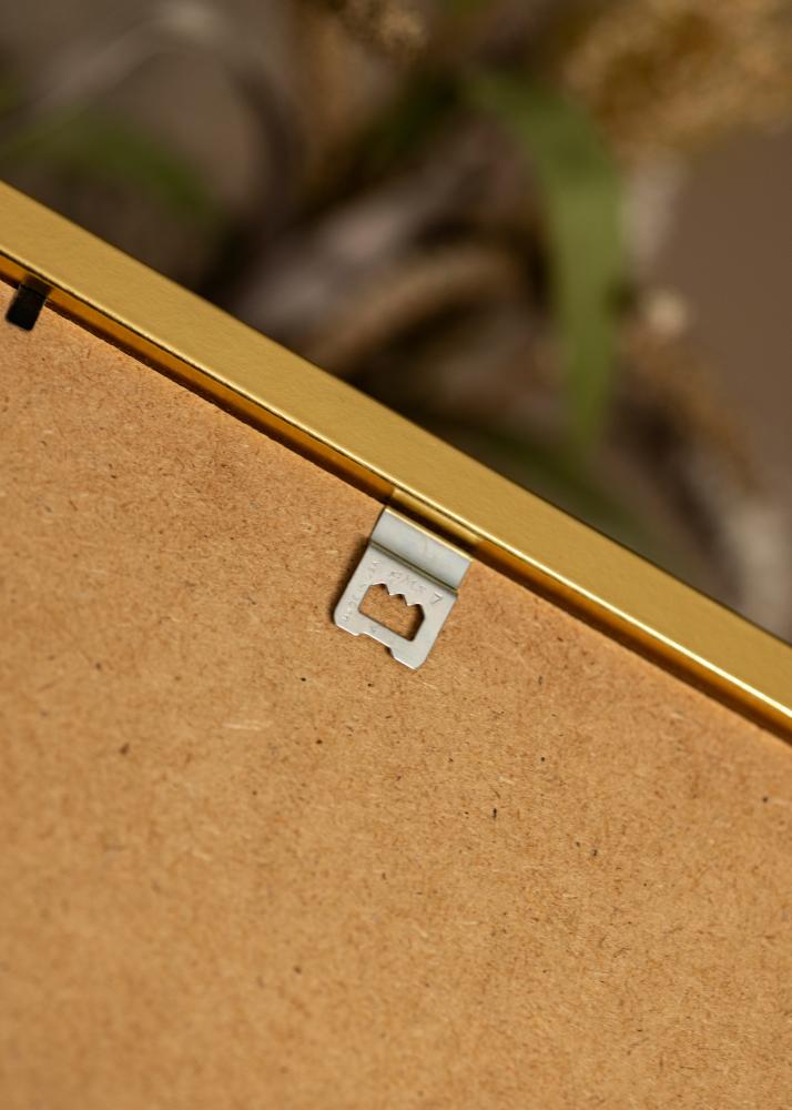 Kehys Minerva Kulta 45x60 cm - Passepartout Valkoista 32x45 cm