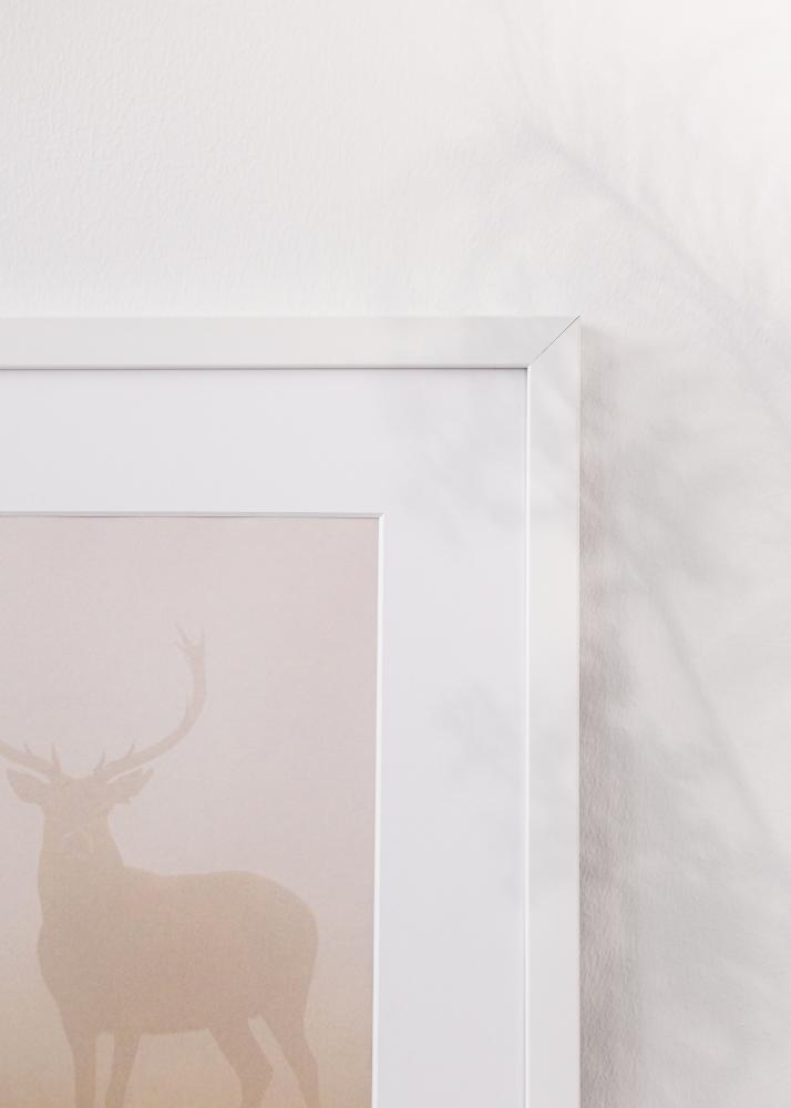 Kehys Brooke Akryylilasi Valkoinen 59,4x84,1 cm (A1)